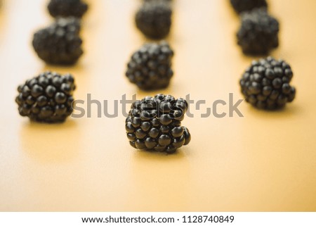 Group of tasty ripe blackberry isolated on pastel  background .Side view.
