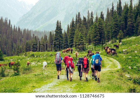 Tourist group hiking in mountains. Treking road  near wild horses. Amazing Landscape. Kyrgyszstan Royalty-Free Stock Photo #1128746675