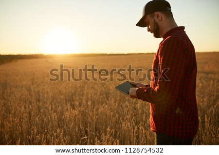 Smart farming using modern technologies in agriculture. Man agronomist farmer with digital tablet computer in wheat field using apps and internet, selective focus. Male holds ears of wheat in hand. Royalty-Free Stock Photo #1128754532
