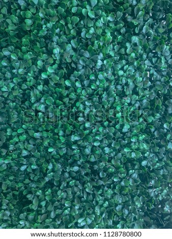 Plastic leaf wall design interior