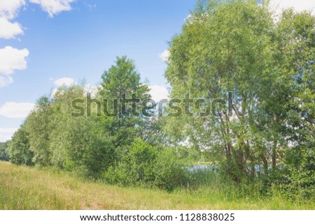 Beautiful summer landscape with green colors. Nature in the vicinity of Pruzhany, Brest region,Belarus.