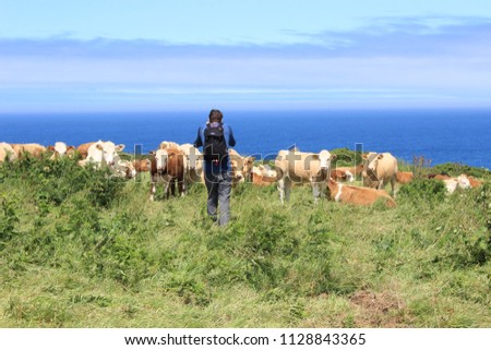 man with cows