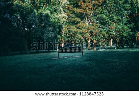 Park bench sunlit