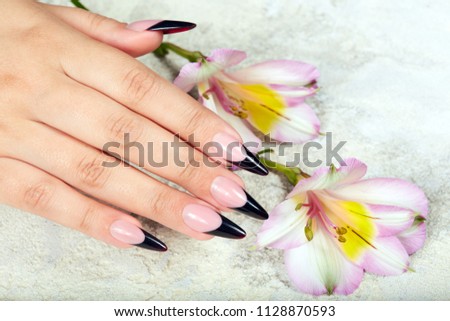 Hand with long artificial black french manicured nails and lily flowers