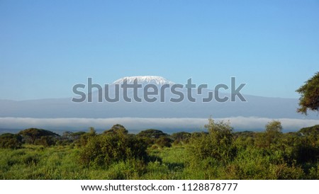 landscape in kenyan national park with mount kilimanjaro