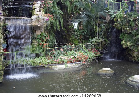 Picture of beautiful botanic garden with small waterfall