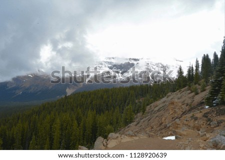 Nature landscape Banff national park Alberta Canada