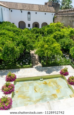 Spain, Cordoba, Europe,  VIEW OF PLANTS BY SWIMMING POOL IN BUILDING