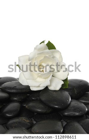 White gardenia and zen stones