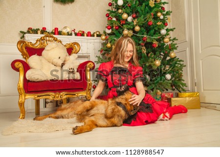  beautiful girl in a red fabulous dress posing with her shepherd big dog and delicious pies in her beige room on the background of a Christmas tree