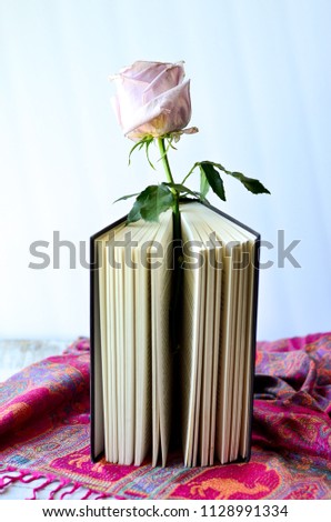 jumbo pink roses on book and feminine pashmina