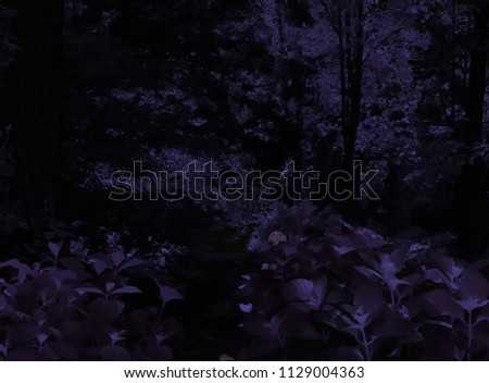 Purple and black abstract floral background.