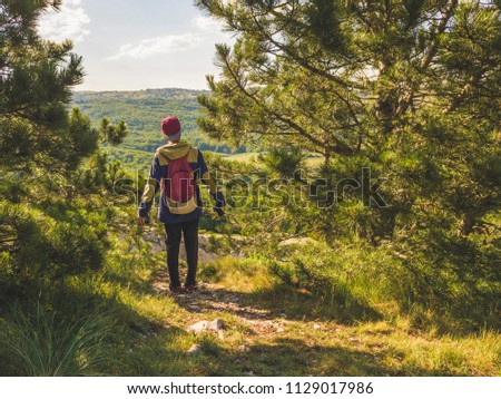 back of young man with dslr camera making photo on a summer day in the mountain in pine forest