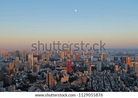 Tokyo tower before night.
