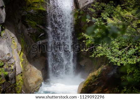 Gorgeous Waterfall with Green Plants