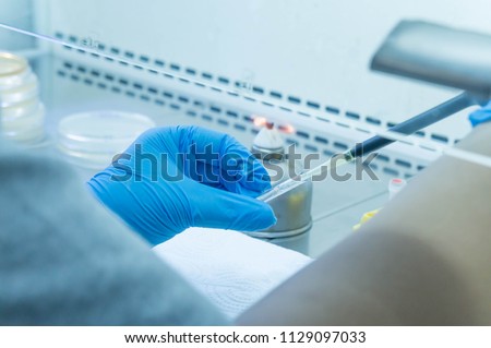  scientist wear blue glove, soft focus she is holding glass ampoule and pipetting bacteria to medium plate, it is a freeze dried culture of bacteria in laminar flow hood by aseptic technique   Royalty-Free Stock Photo #1129097033