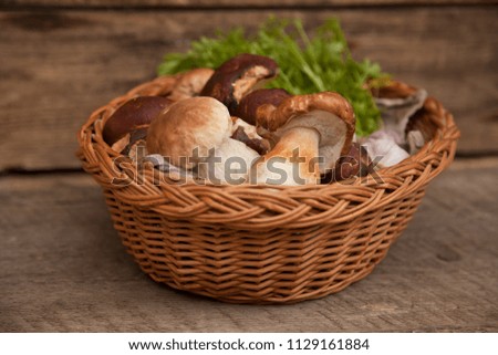 Mushroom Boletus over Wooden Background. Autumn Cep Mushrooms.Cooking delicious organic mushroom. 
