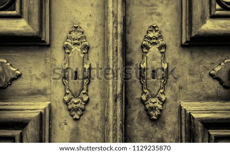 Wooden door with metal knockers, door detail of a decorated, safety and security