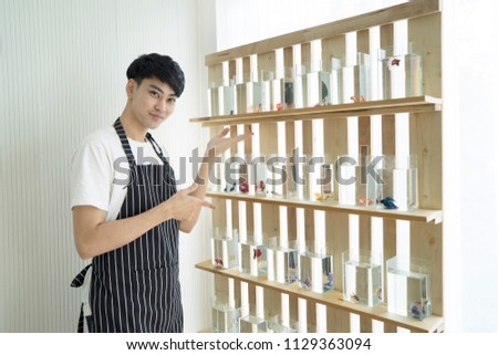Handsome Asian young man wearing apron, pointing at shelf of Siamese fighting fish in mini aquarium. Betta splendens pet shop owner. Animal pet hobby, online trade, farm breeding and market concept.
