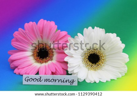 Good morning card with pink and white gerbera daisy on background made of rainbow clolors
