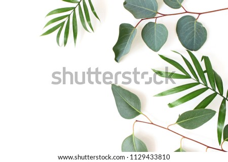 Styled stock photo. Jungle composition of green palm and eucalyptus leaves isolated on white background. Tropical summer holiday, vacation concept. Flat lay, top view.