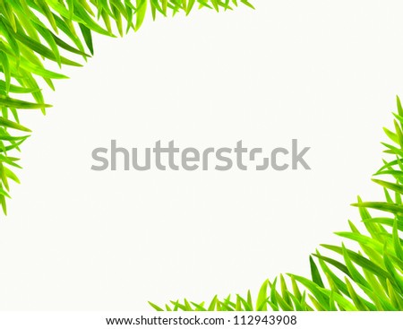 Grass frame in white background