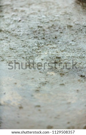 close up rain drops on pavement