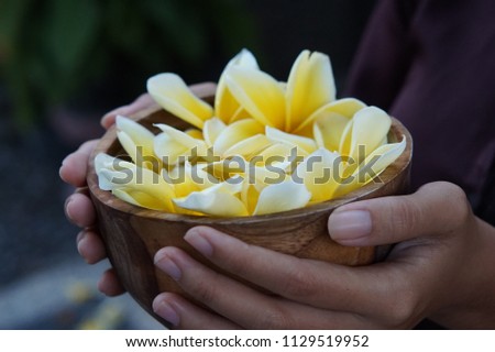 Woman hand holding a bowl full of frangipani flower