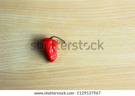 One Red Bhoot Jolokia Spicy ghost pepper isolated in wooden background with space for text, texture background template