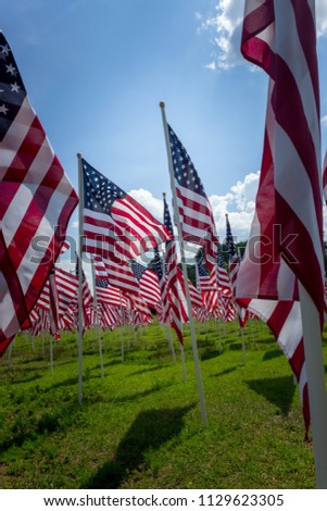 Rows of American Flags