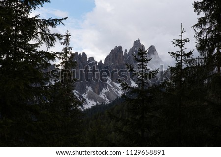 Nature in the Dolomites, Italy