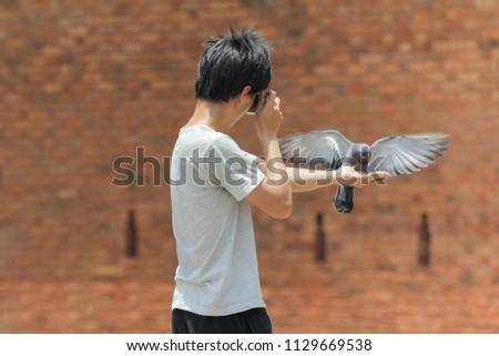 Human Tourist is Taking Picture Pigeon Bird on His Hand Food Feeding with Brick Wall Background