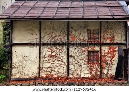 red leaves autumn colors plant on house background,japan,autumn leave tree on wall building,fram art wall