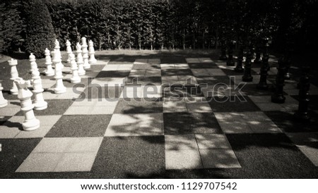Big Chess game