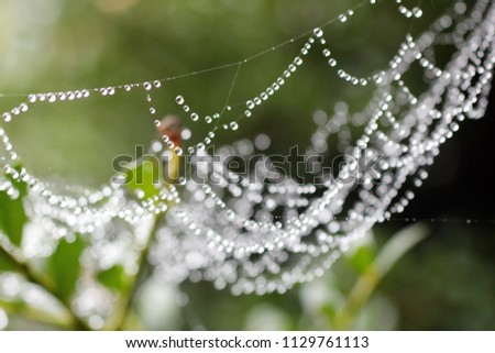 Natural landscape like spider thread and waterdrop curtain.
It sounds like a race of waterdrops dots.