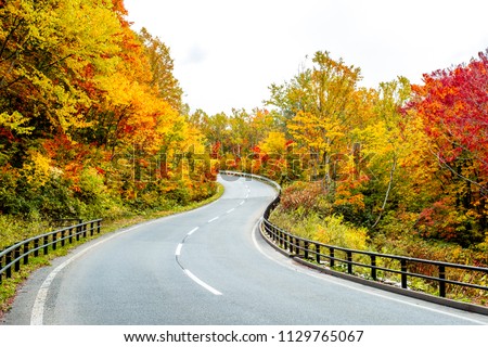 Autumn curvy road, curve fence along the road on the way through colorful trees in the forest mountain in Tohoku Japan. Royalty-Free Stock Photo #1129765067