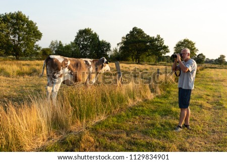 Man takes a picture of a cow