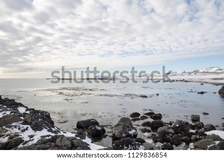 Ytri tunga seal reserve in Iceland Snaefellsnes peninsule