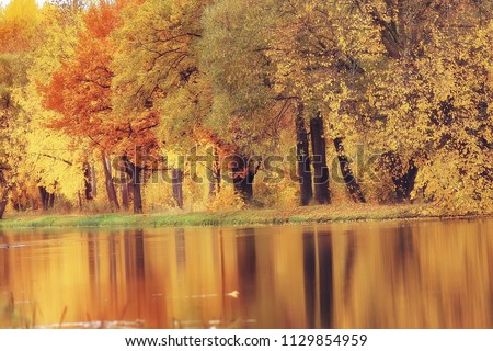 landscape autumn pond / yellow trees in the park near the pond, landscape nature of October autumn