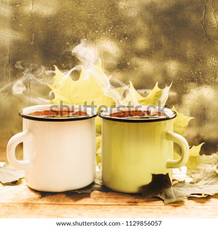 Cup of tea at a rainy window autumn mood day leaf. Fall background with copy space