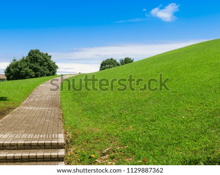 The park under the blue sky with a space for copy