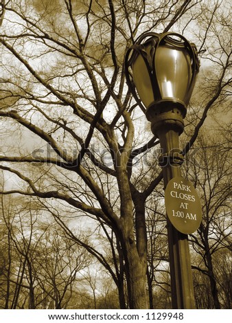 trees, lampost , sign in central park in brown