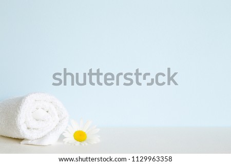 Fluffy, clean white towel roll on shelf in bathroom. Beautiful camomile or daisy. Fresh flower. Empty place for text on pastel blue wall. Spa still life.