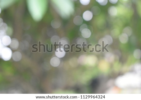 Blurred defocused dark green with colorful bright bokeh for abstract background concept.