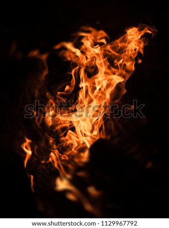 Fire, bonfire, campfire. Flames of bonfire at night. Fire flames on a black background