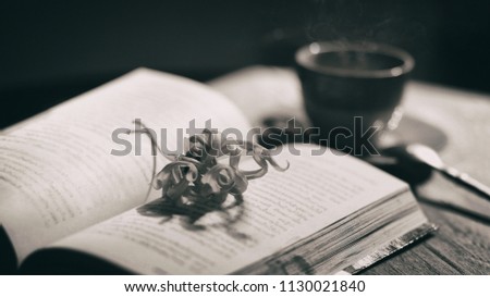 Black and white image of Cananga odorata  or Ylang-ylang flower put on old book with hot tea cup in the evening.Light pass through, shadow touch up the scene.Concept of simple and relax moment.