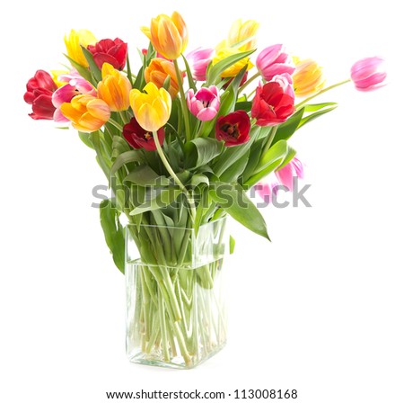 Vase with tulips isolated on a white background