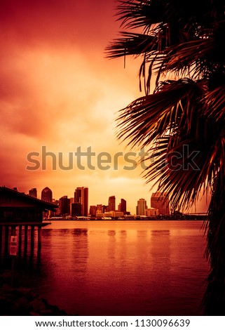 Beautiful sunset over San Diego skyline with bay and palm trees