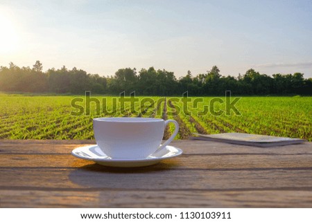 a selective focus picture of a cup of coffee on wooden table beside organic green corn field in the morning sunrise