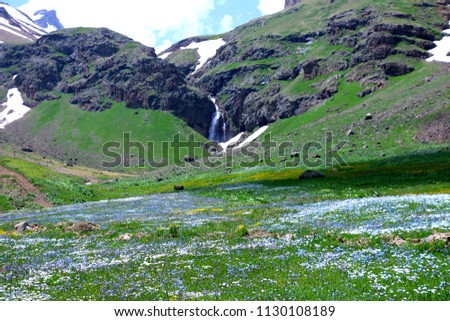 Gegharot waterfall surrounded by beautiful  flower, trees, mountains and rocks,amazing view in Aragats village,Armenia. Royalty-Free Stock Photo #1130108189